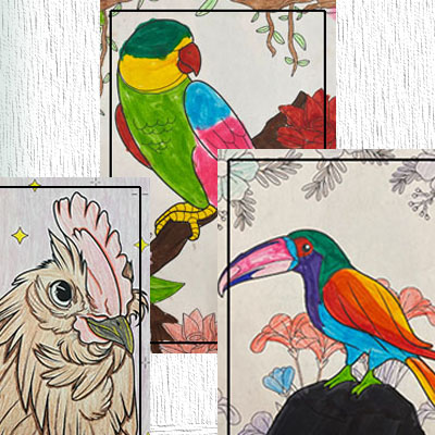 Colouring