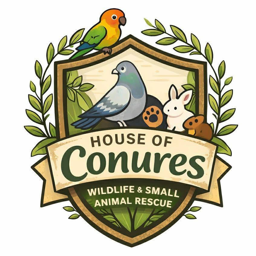 House of Conures