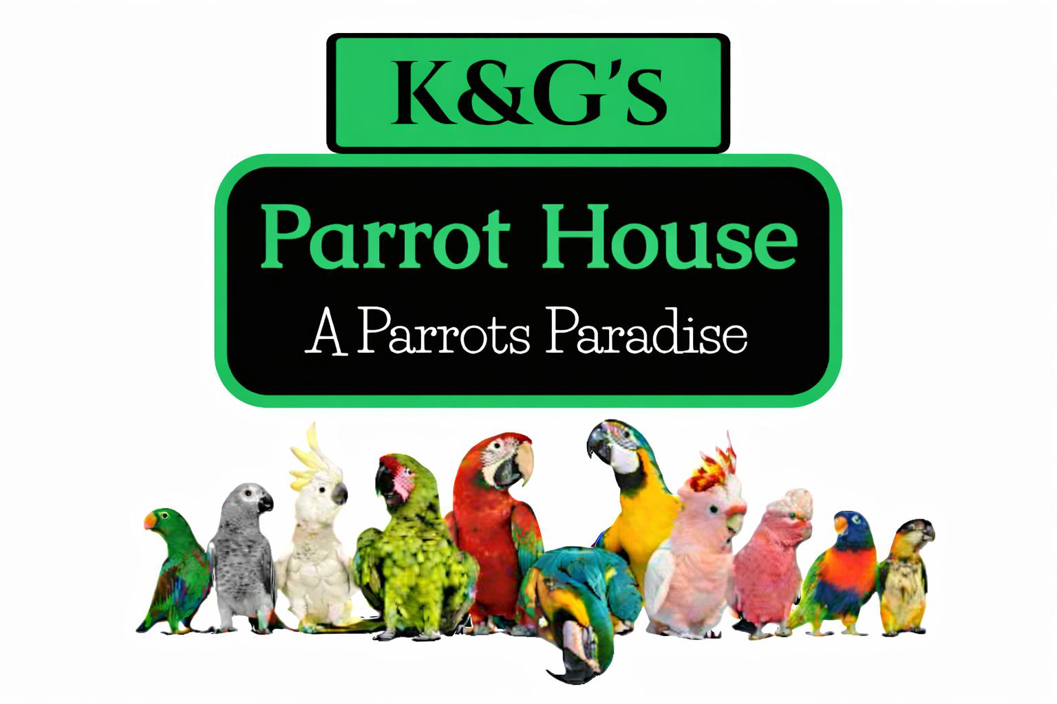 K & G's Parrot House