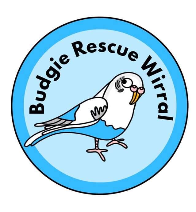 Budgie Rescue - Wirral