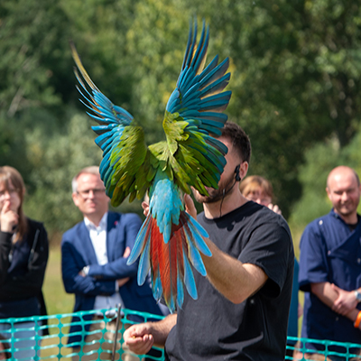 Craig Young with his parrots
