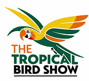 The Tropical Bird Show