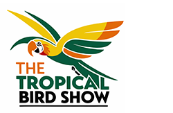 The Tropical Bird Show